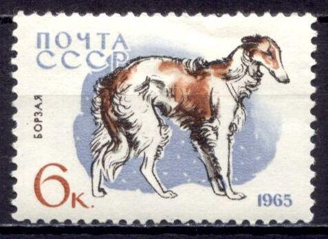 Фауна Собаки Породы собак Борзая 1мар** СССР 1965 У1-15