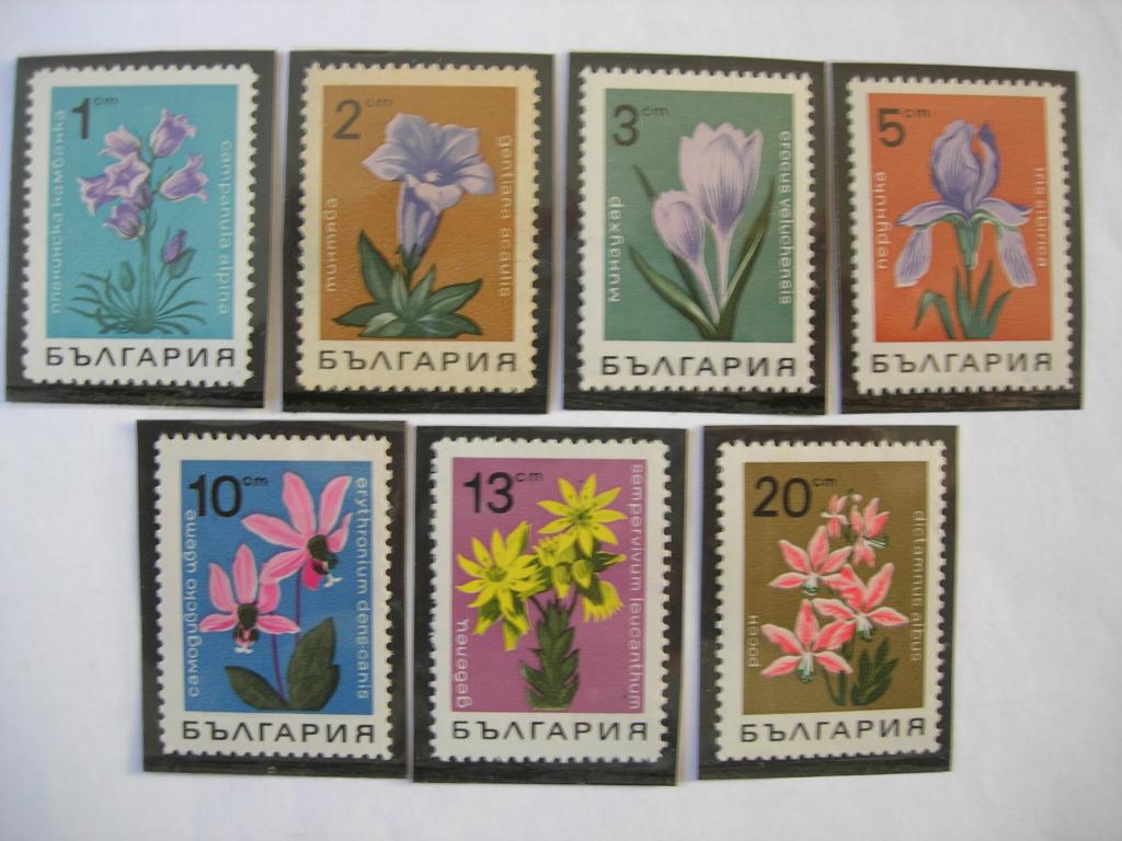 Болгария 1968 флора: цветы   MNH