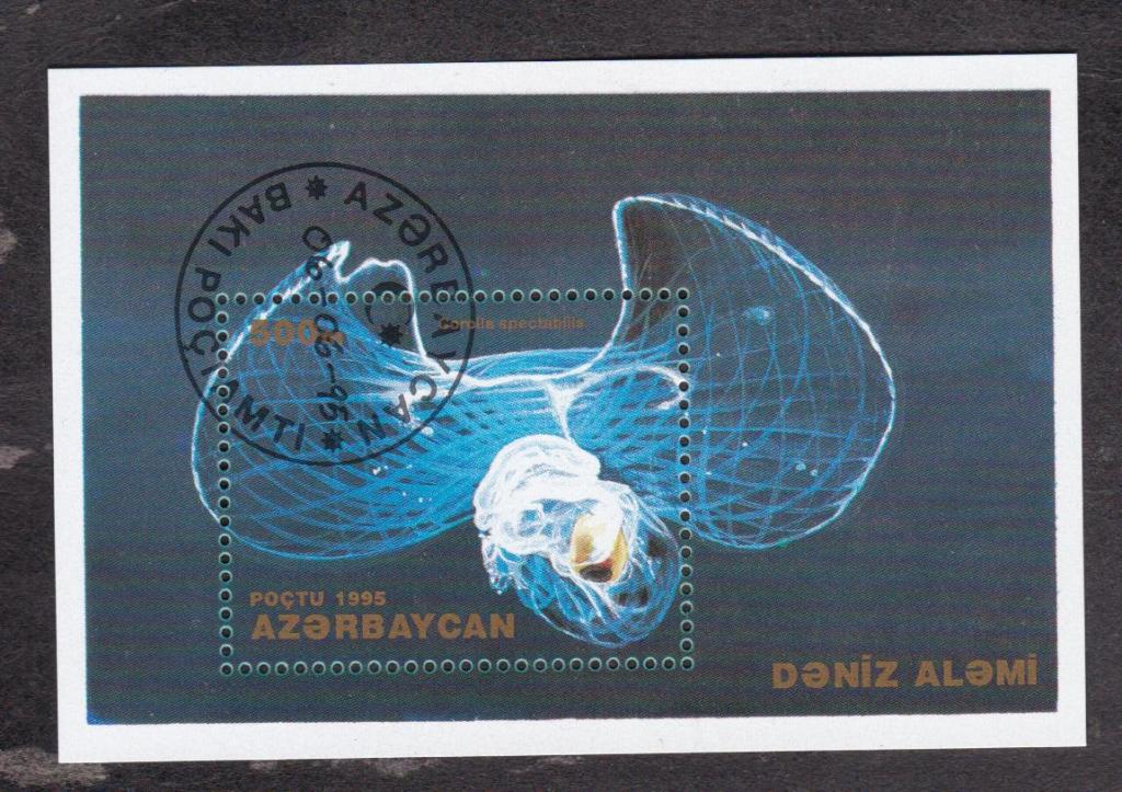 Азербайджан 1995 Фауна Медузы (3874)
