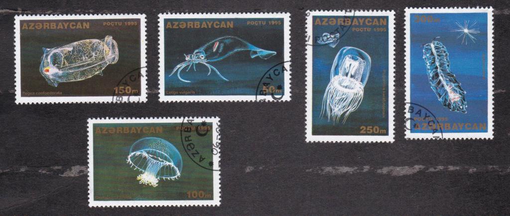 Азербайджан 1995 Фауна Медузы (3877