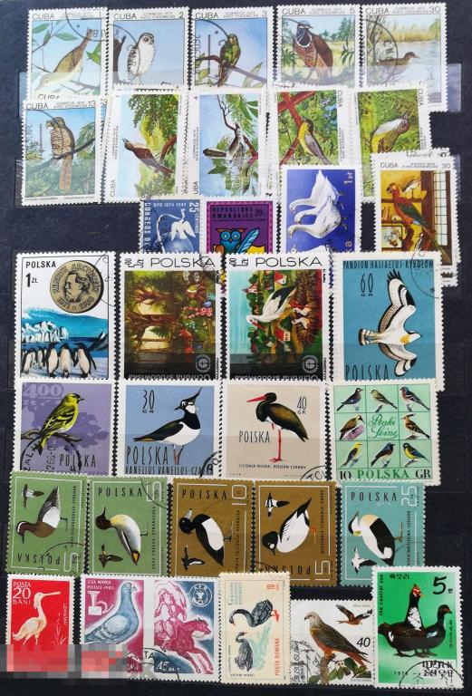 Фауна  Птицы Природа Экология Окружающая среда - 33 марок разных стран и лет