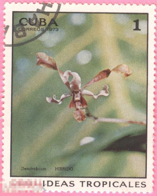 Куба - 1973 - Флора - Цветы - Орхидеи - 3 марки из серии