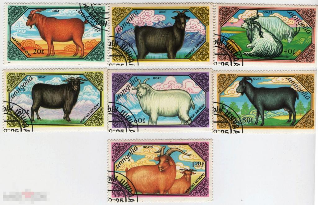 Монголия Фауна Домашние животные Овцы серия
