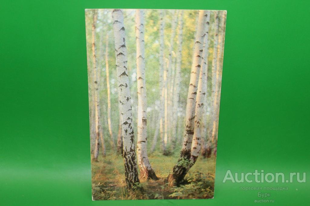 открытка Я посетил родимые места набор... С. Есенин 1976 г.