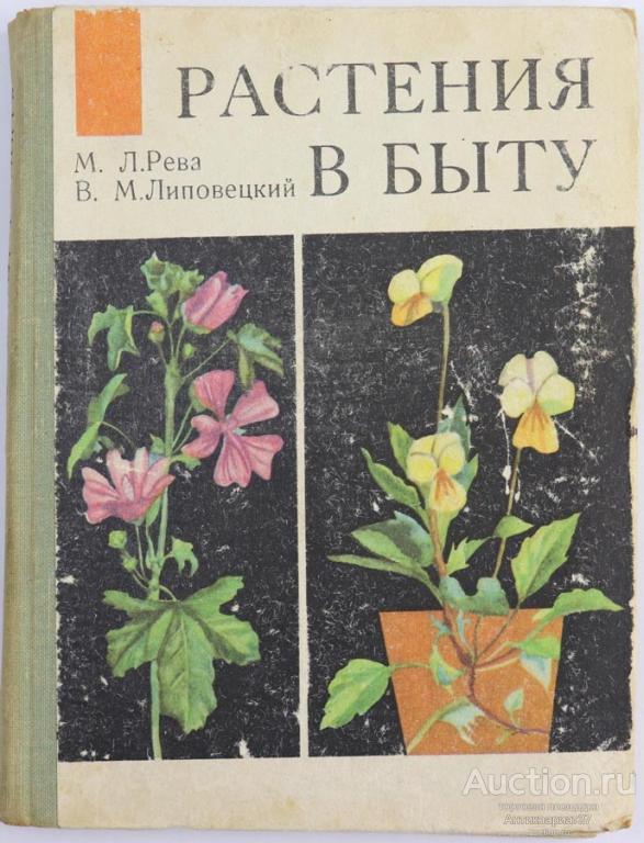Книга Растения в быту / М. Рева, В. Липовецкий, 1972 г.