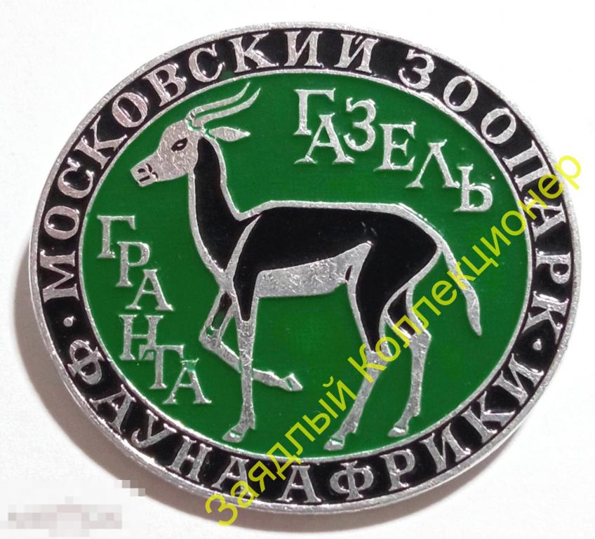 Московский зоопарк. Фауна Африки. Газель Гранта (ЭТПК)