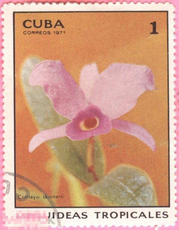 Куба - 1971 - 72 - Флора - Растения - Цветы - Орхидеи 9 марок из серий