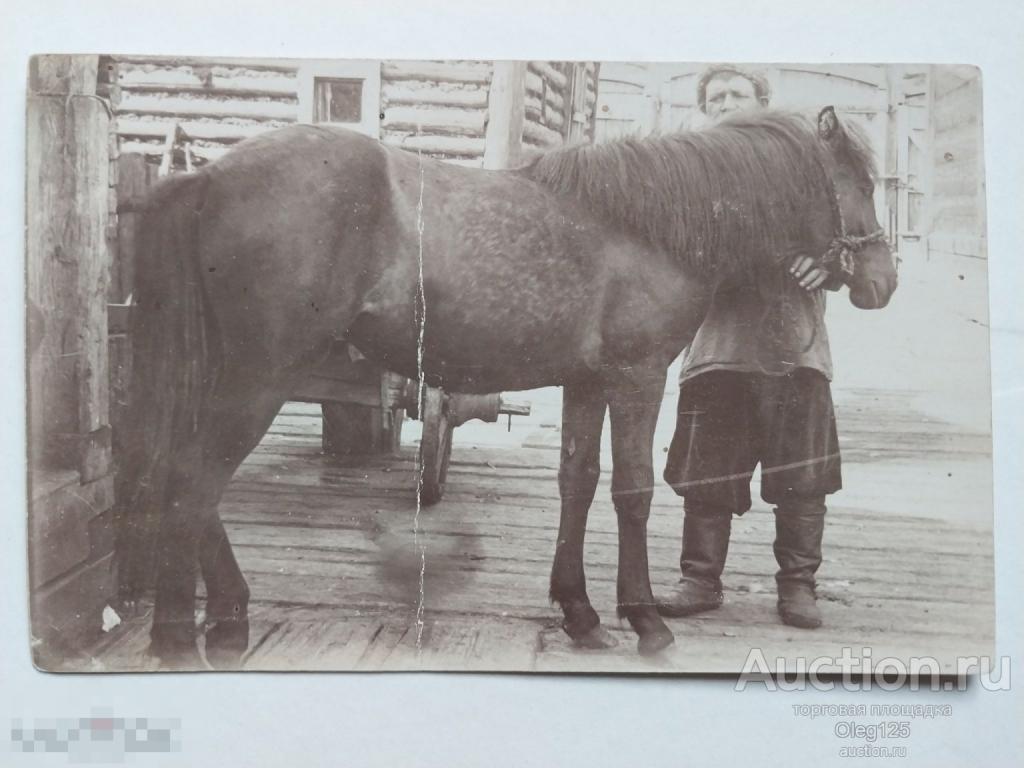 Русский конюх . Извозчик .Русские типы .