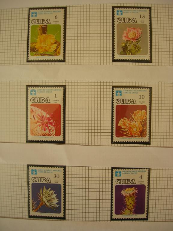 Куба 1978 флора: цветы  (кактусы)   MNH