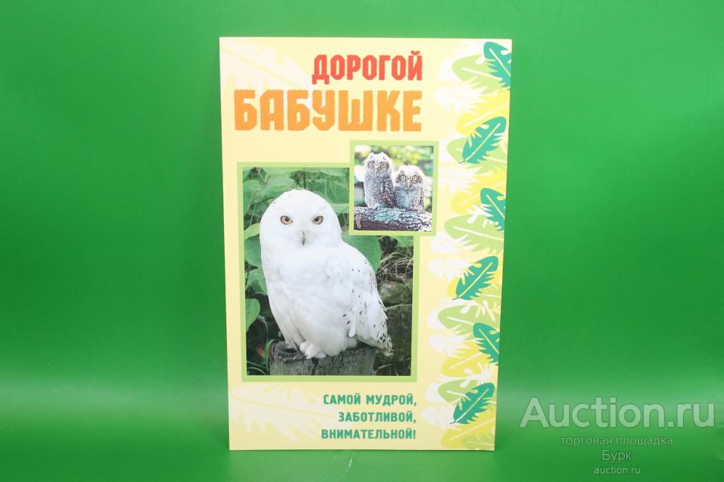 открытка Русский Дизайн Дорогой бабушке фауна птицы сова совы двойная чистая