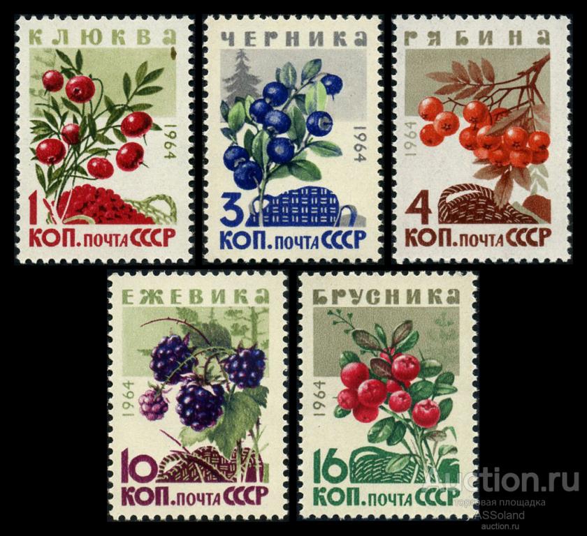 СССР 1964. 3132-3136. Флора. Ягоды.