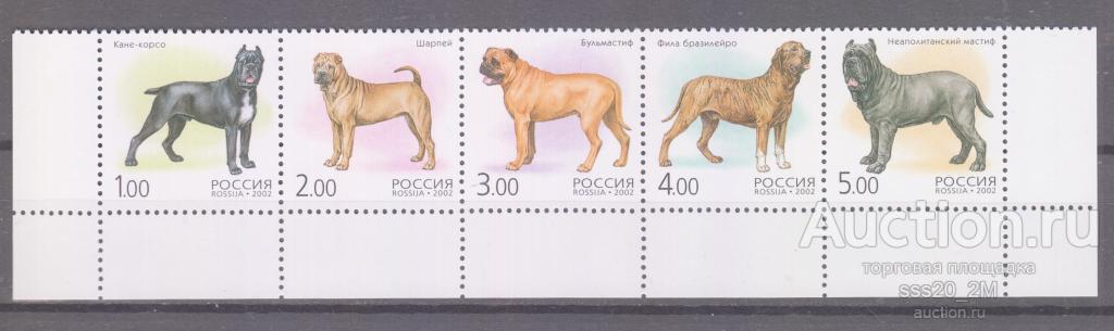 Россия 2002 собаки Mi971-975 MNH сцепка