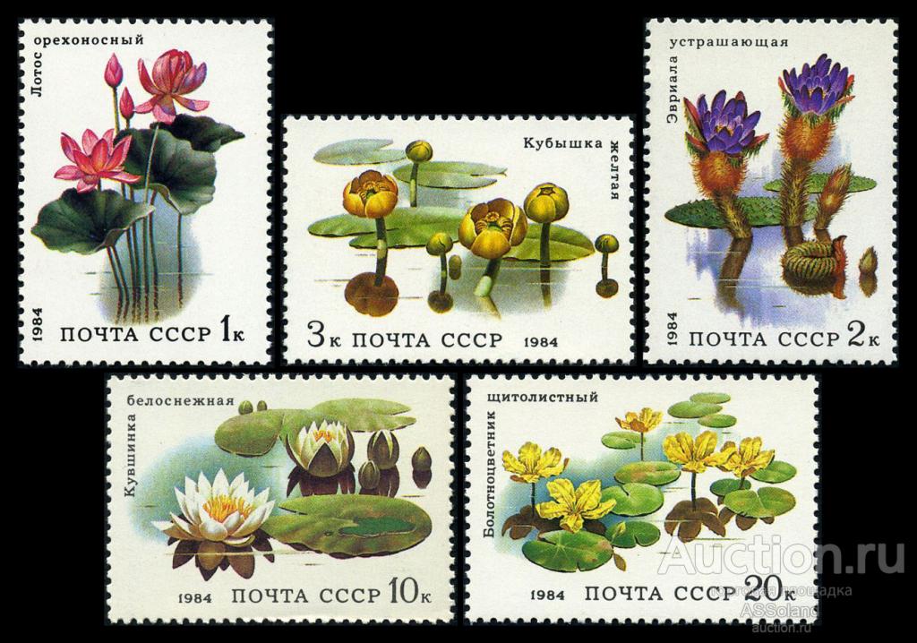 СССР 1984. 5501-5505. Флора. Водные растения.
