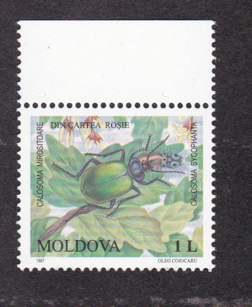Молдова 1997 Фауна Жук (4018)