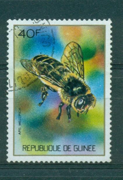 Guinee Гвинея 1973 фауна пчёлы насекомые (гаш.)