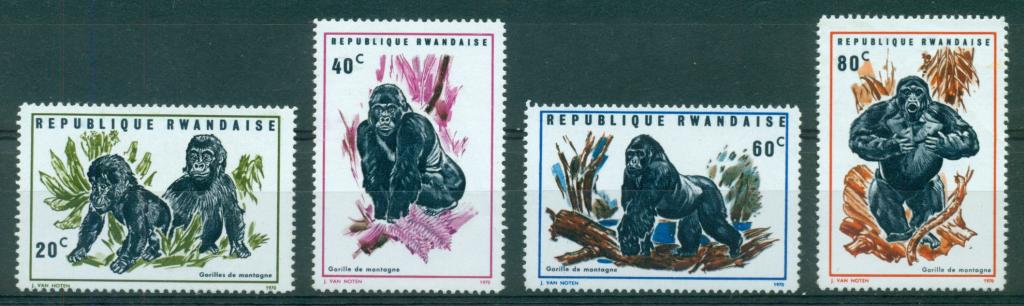 Rwanda Руанда 1970 фауна приматы обезьяны гориллы ** (1-я половина серии)