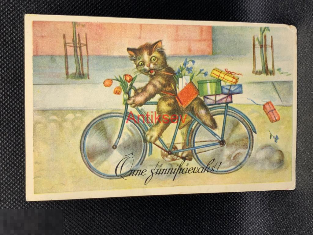 Открытка Эстония Коты 1940-е