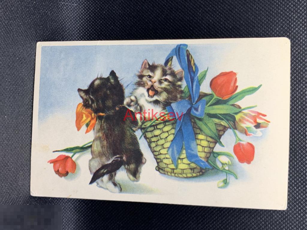 Открытка Эстония Коты 1940-е