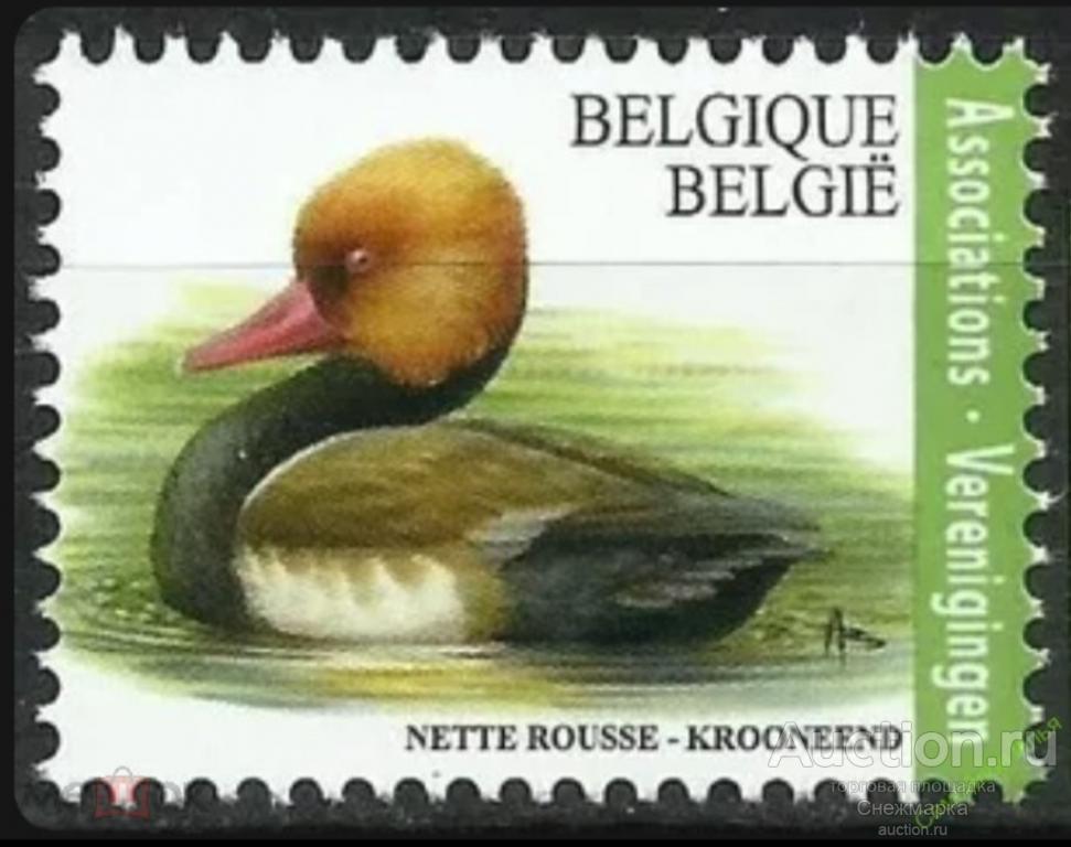 Бельгия 2018г. Птицы MNH