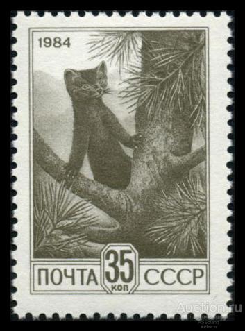 СССР 1984. 5548А. Стандартный выпуск. Соболь (35к., бум.простая).