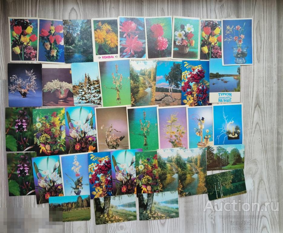 Коллекция Карманных Календариков РАЗНЫЕ ПРИРОДА Одним лотом ( 38 шт)     1701