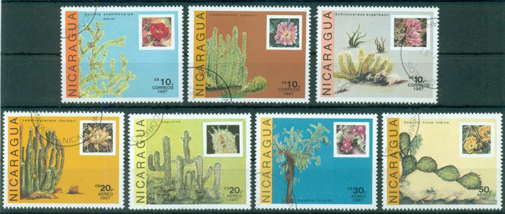 Nicaragua Никарагуа 1987 флора кактусы цветы растения (гаш.) полная