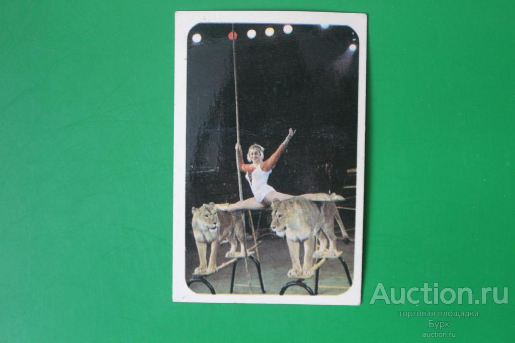 календарик 1974 Львы цирк дрессировщица