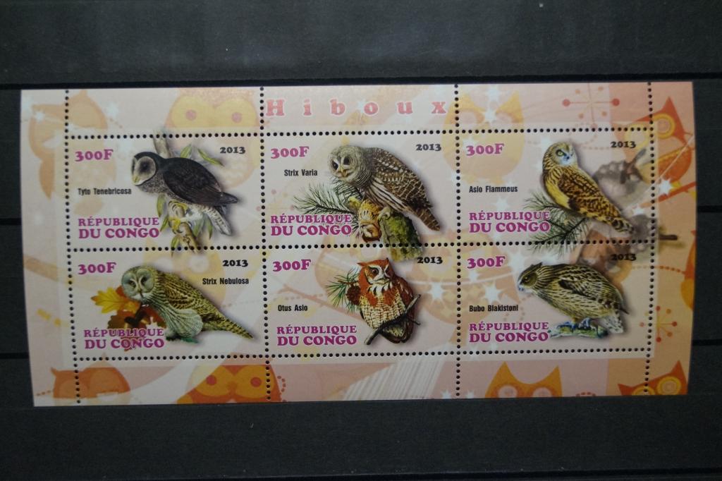 Конго 2013г. Совы Лист из 6 марок