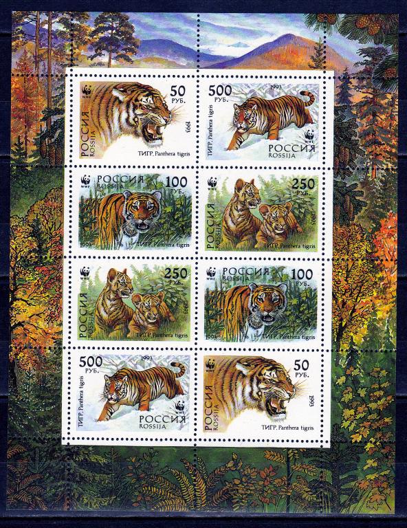Марки  Россия 1993 г.  № 124 - 127 Уссурийский тигр МЛ MNH ** Фауна
