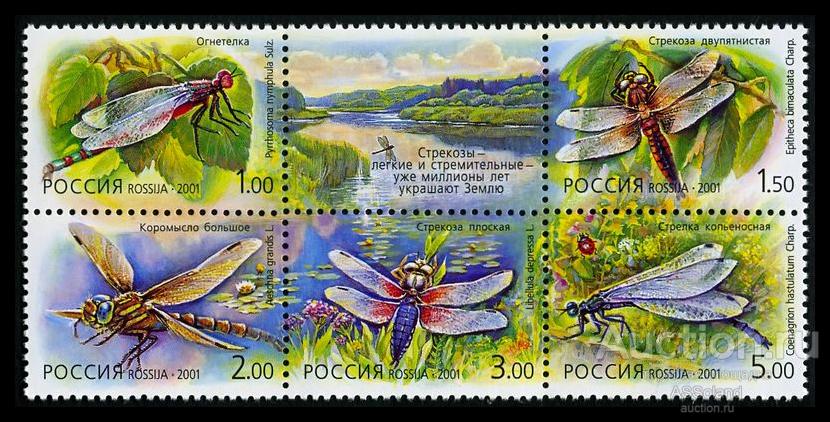Россия 2001. 671-675. Фауна. Стрекозы.