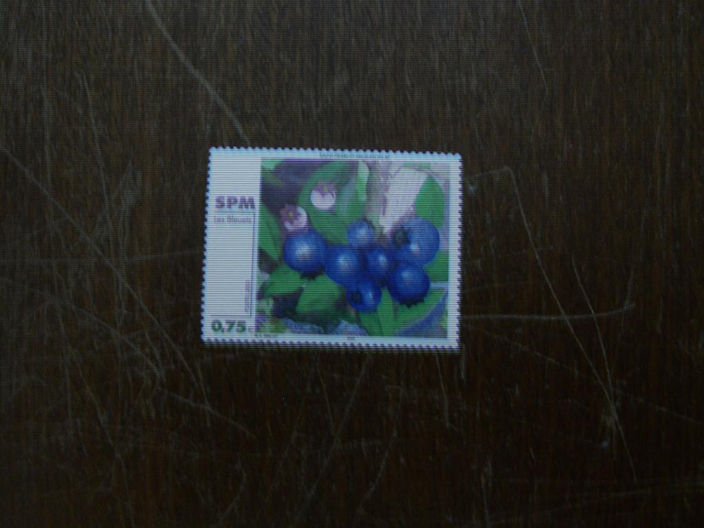 Сен Пьер и Микелон 2003 картина