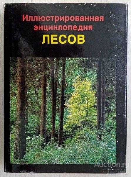 Книга Иллюстрированная энциклопедия лесов / Ян Еник, 1987 г.
