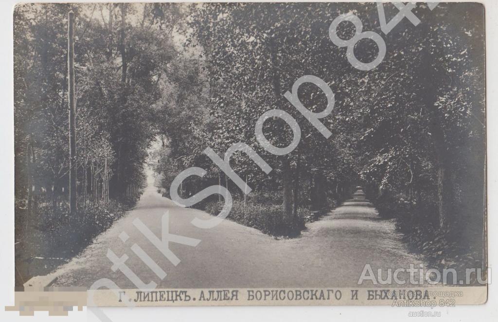 Липецк.Аллея Борисовского и Быханова.