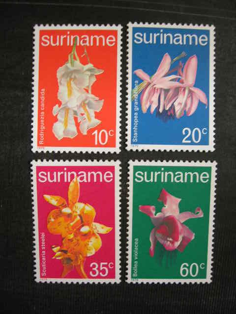 Суринам 1979  флора: цветы  (орхидеи)     MNH