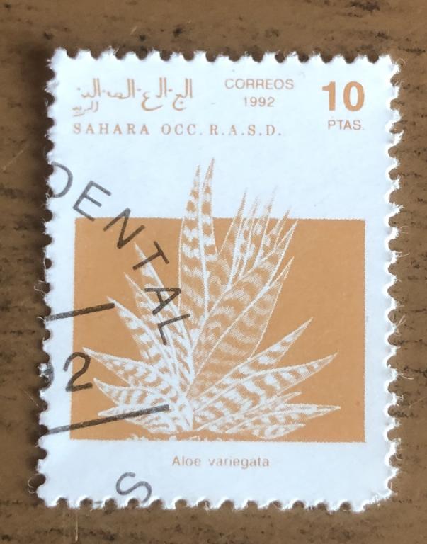 Марки Западная Сахара 1992 г нелегальные марки