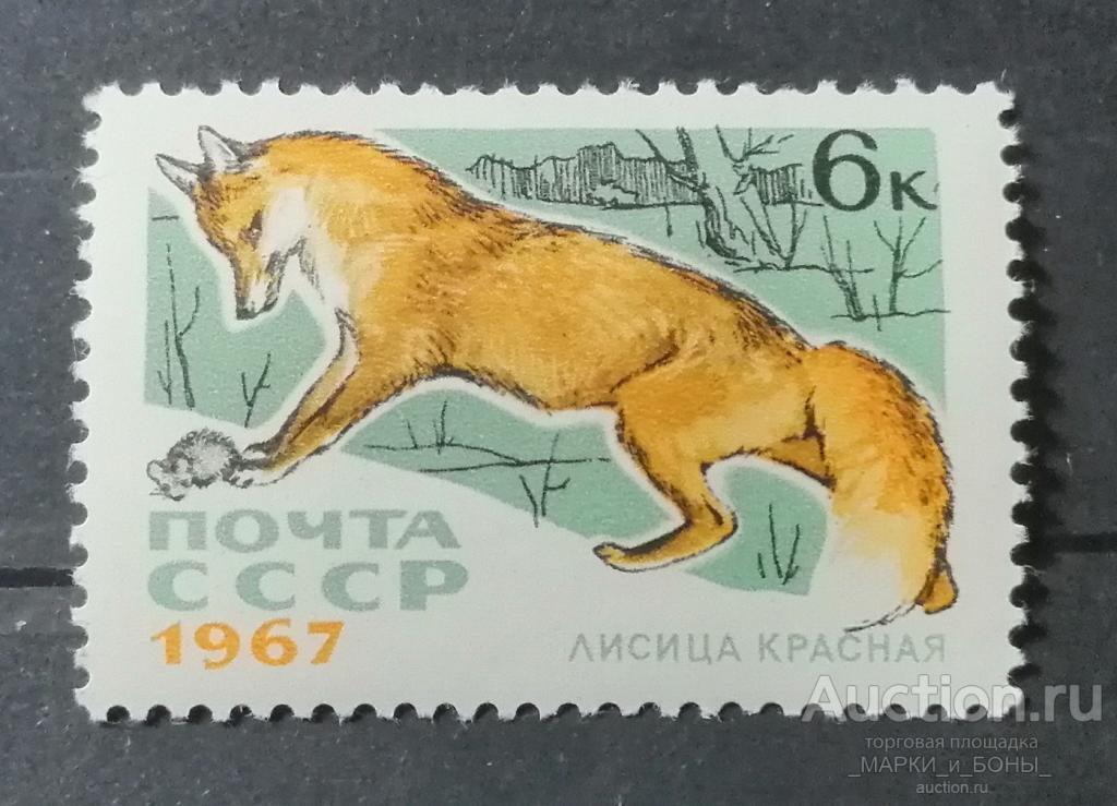 1967г. СССР.  Пушные промысловые звери. ЛИСИЦА КРАСНАЯ. ** Чистые (2-28) 1 МАРКА