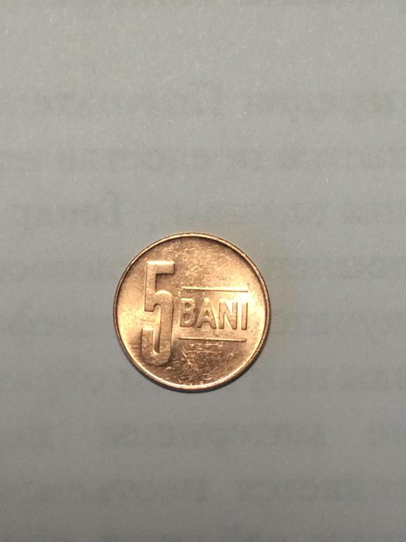 Румыния. 5 бани 2017 года.