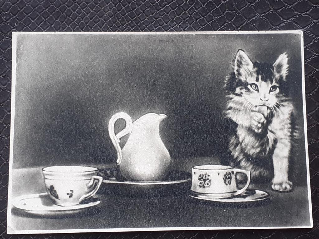 Открытка 1957 Котенок Кот Кошка Посуда Чашки Чистая