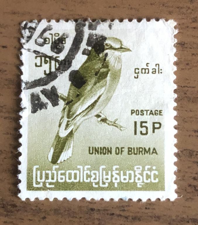 Марки Бирма 1964 г Индийский роллер (Coracias benghalensis)