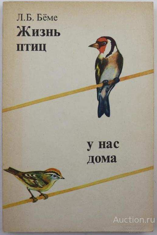 Книга Жизнь птиц у нас дома / Л.Б. Бёме, 1987 г.