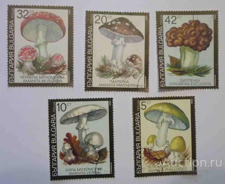МАРКИ БОЛГАРИЯ  ГРИБЫ 5  ШТ  1990 Г