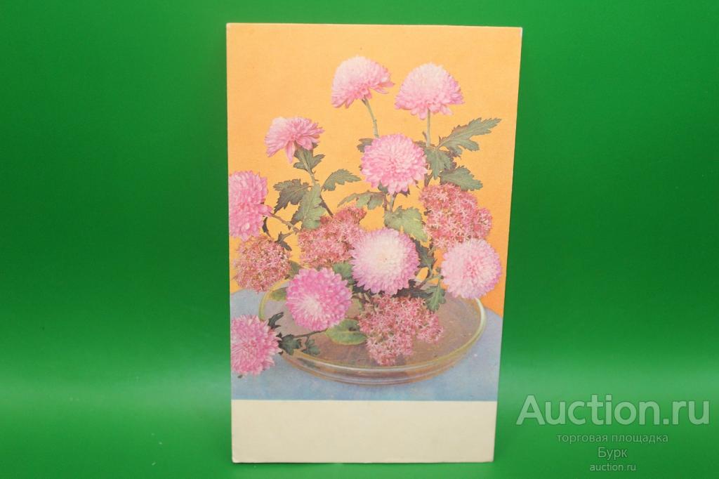 открытка Игнатович 1968 г. Хризантемы