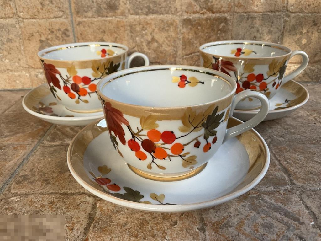 ЧАЙНАЯ ПАРА чашка с блюдцем из сервиза РЯБИНА осень  ПРОЛЕТАРИЙ редкая Отл