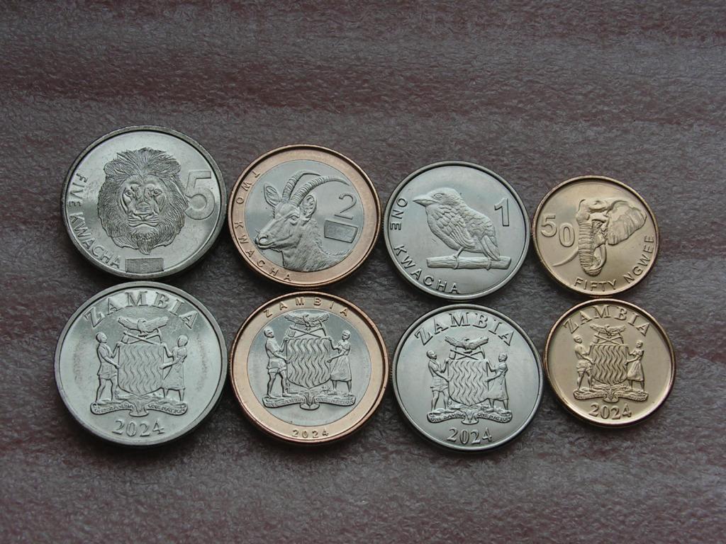 Замбия набор 50 нгвее 1 2 5 квача 2024 unc
