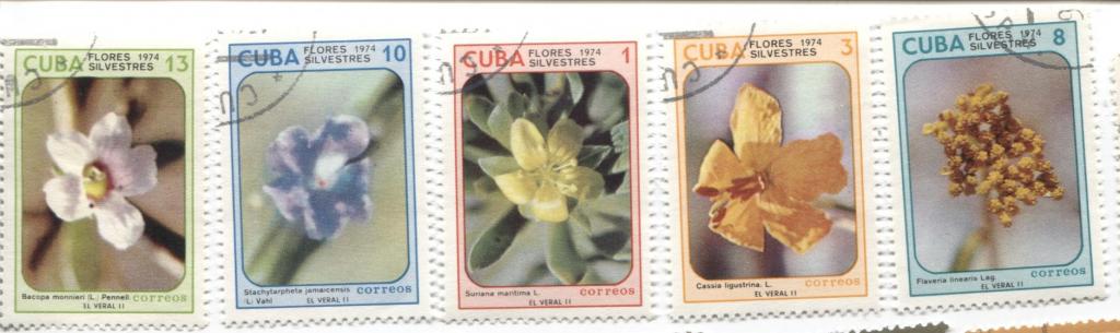 1974 Куба Цветы 5м гаш