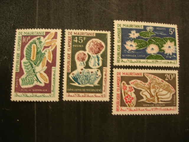 Мавритания 1964  флора: цветы   MNH