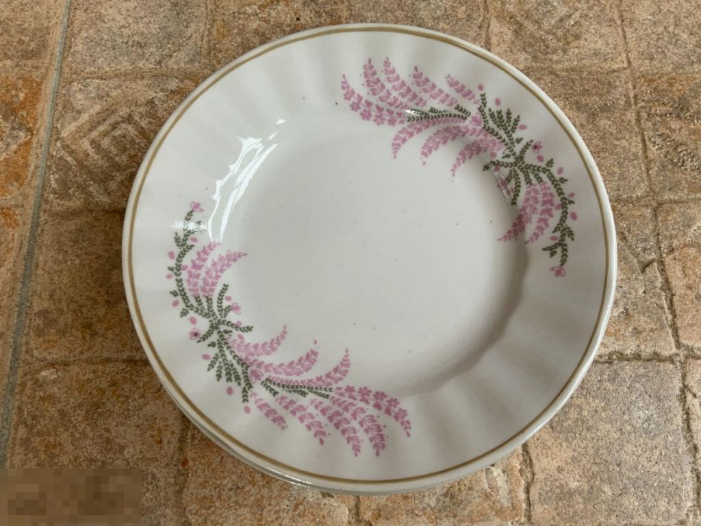 ТАРЕЛКА десертная пирожковая блюдце РОЗОВЫЙ ПАПОРОТНИК ВЕРБИЛКИ ДФЗ тонкий фарфор Отл