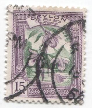 1950 Цейлон.Местные виды. Орхидея 1м гаш