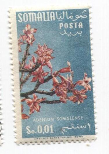 1955 Сомали.Флора.Цветок 1м **
