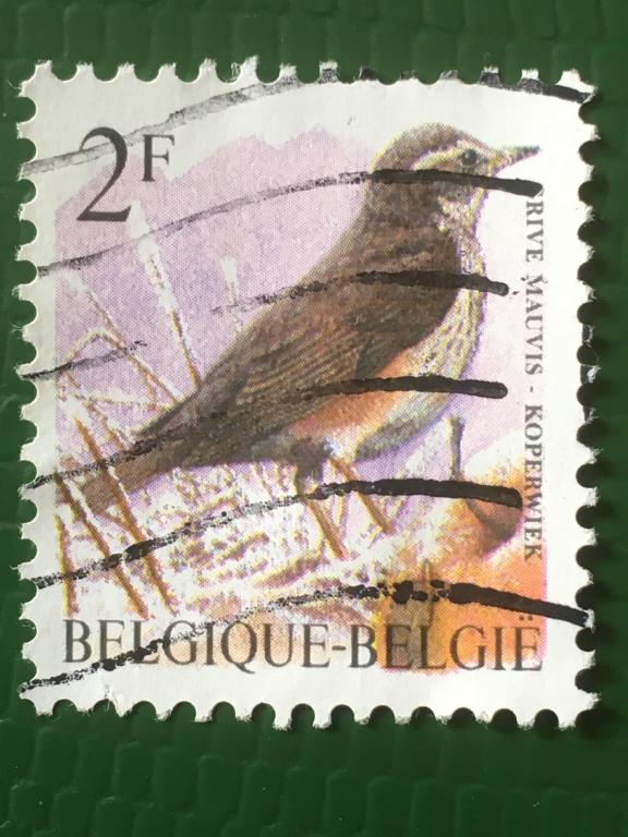 Марка. Птицы. Бельгия. 1996 г.